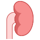 kidney