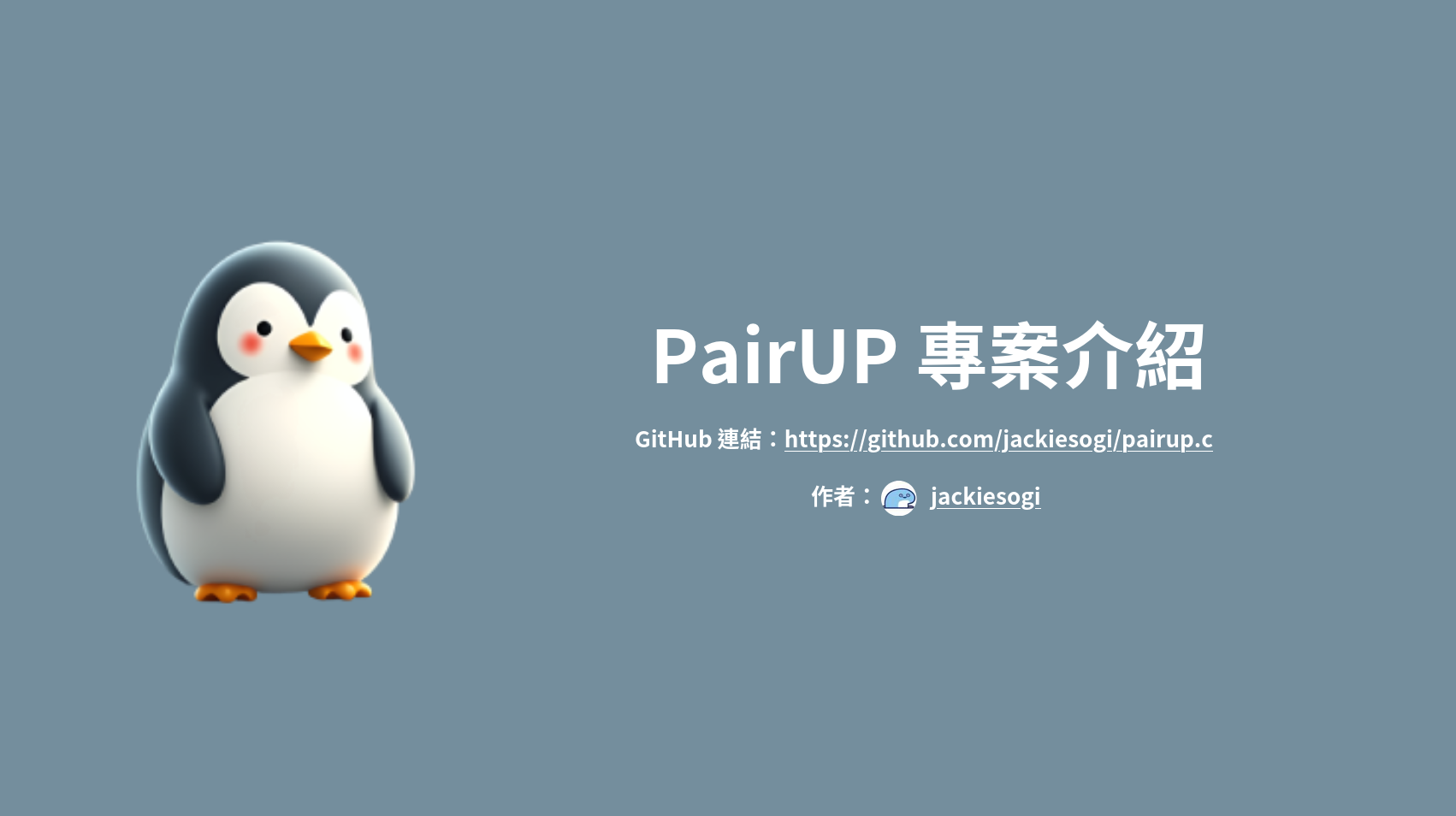 PairUP Project Preview