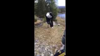 Swedish bachelor party goes epic fail