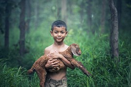 boy with deer