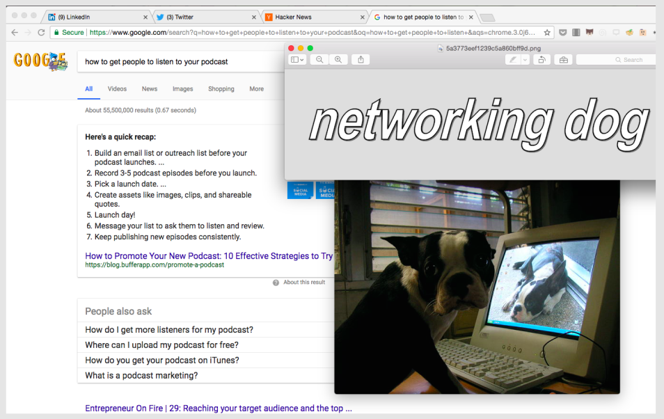 networking-dog