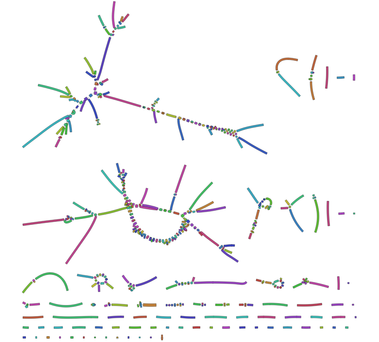 81-mer assembly graph