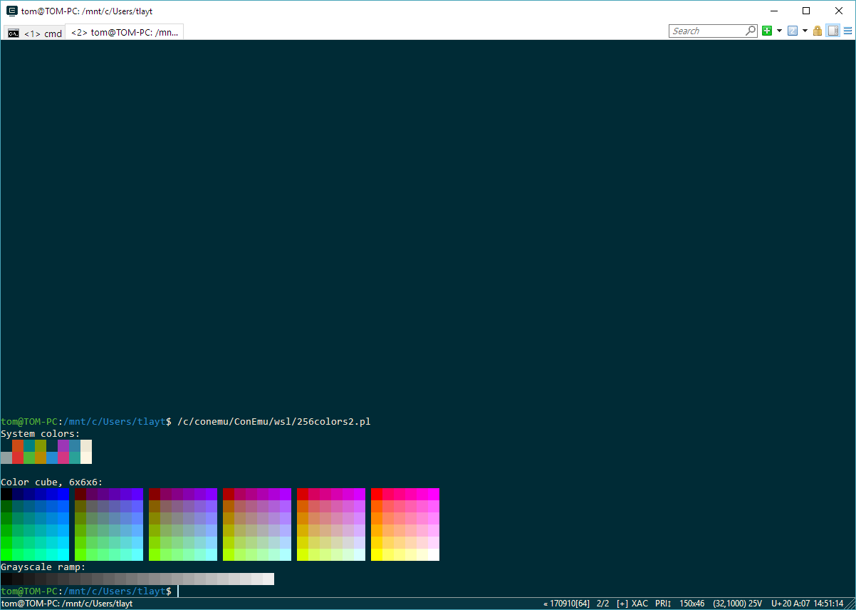 After echoing ansi sequence