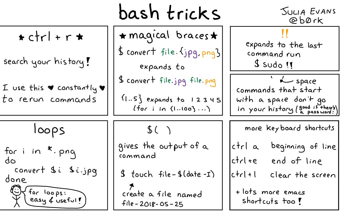 bash