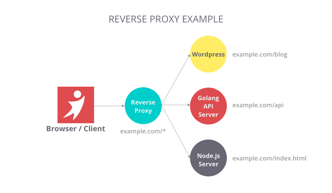 reverse proxy