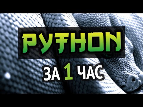 Python за час