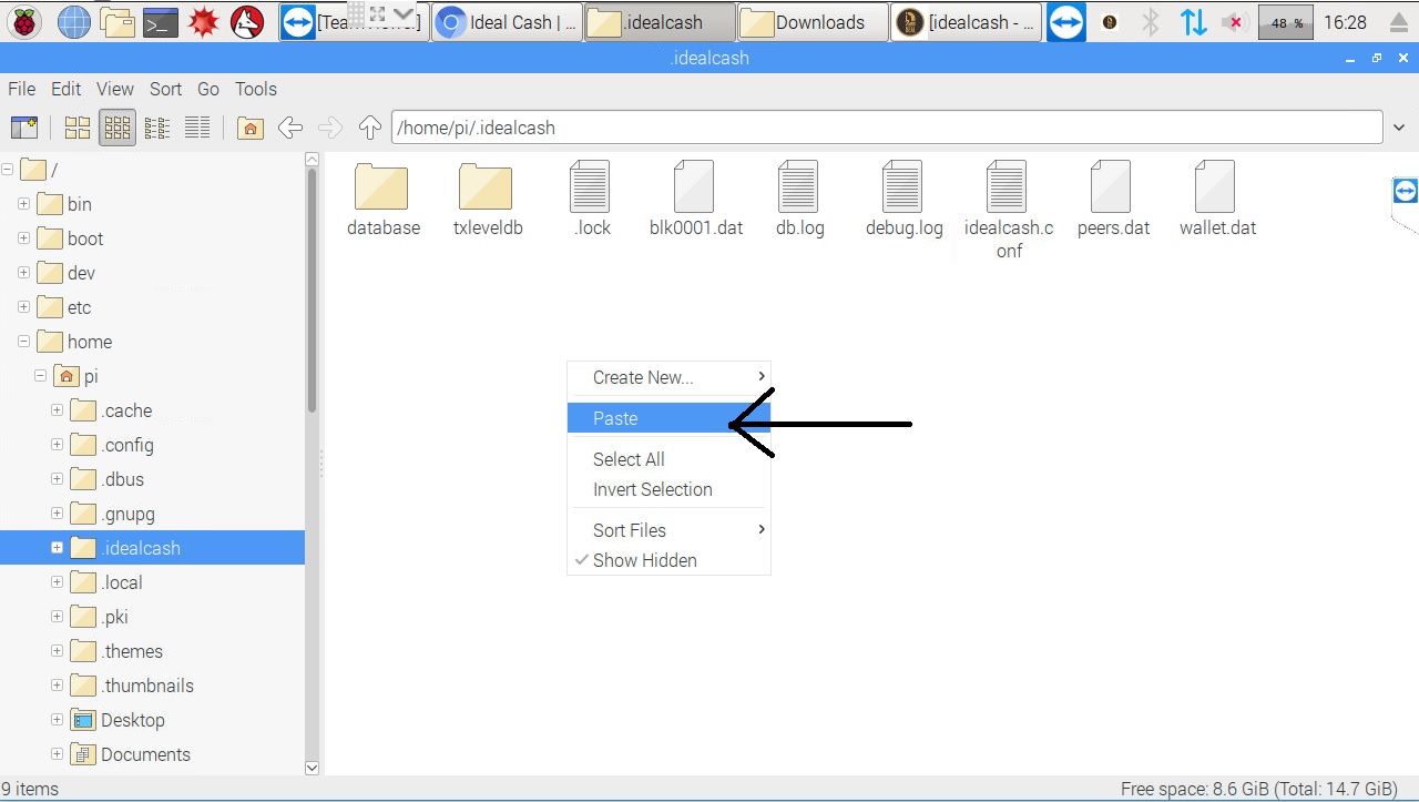 Go to the .idealcash folder and paste the wallet.dat