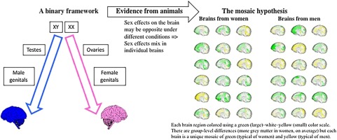 ScienceDirect Brain Mosaic