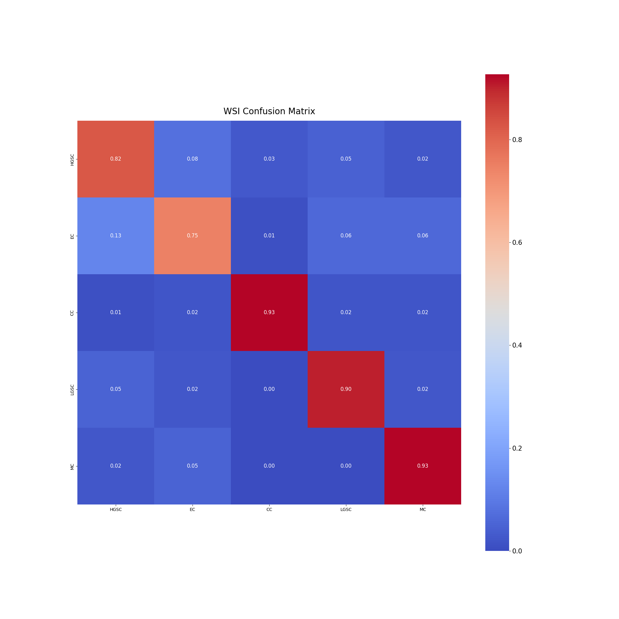 wsi_confusion_matrix1