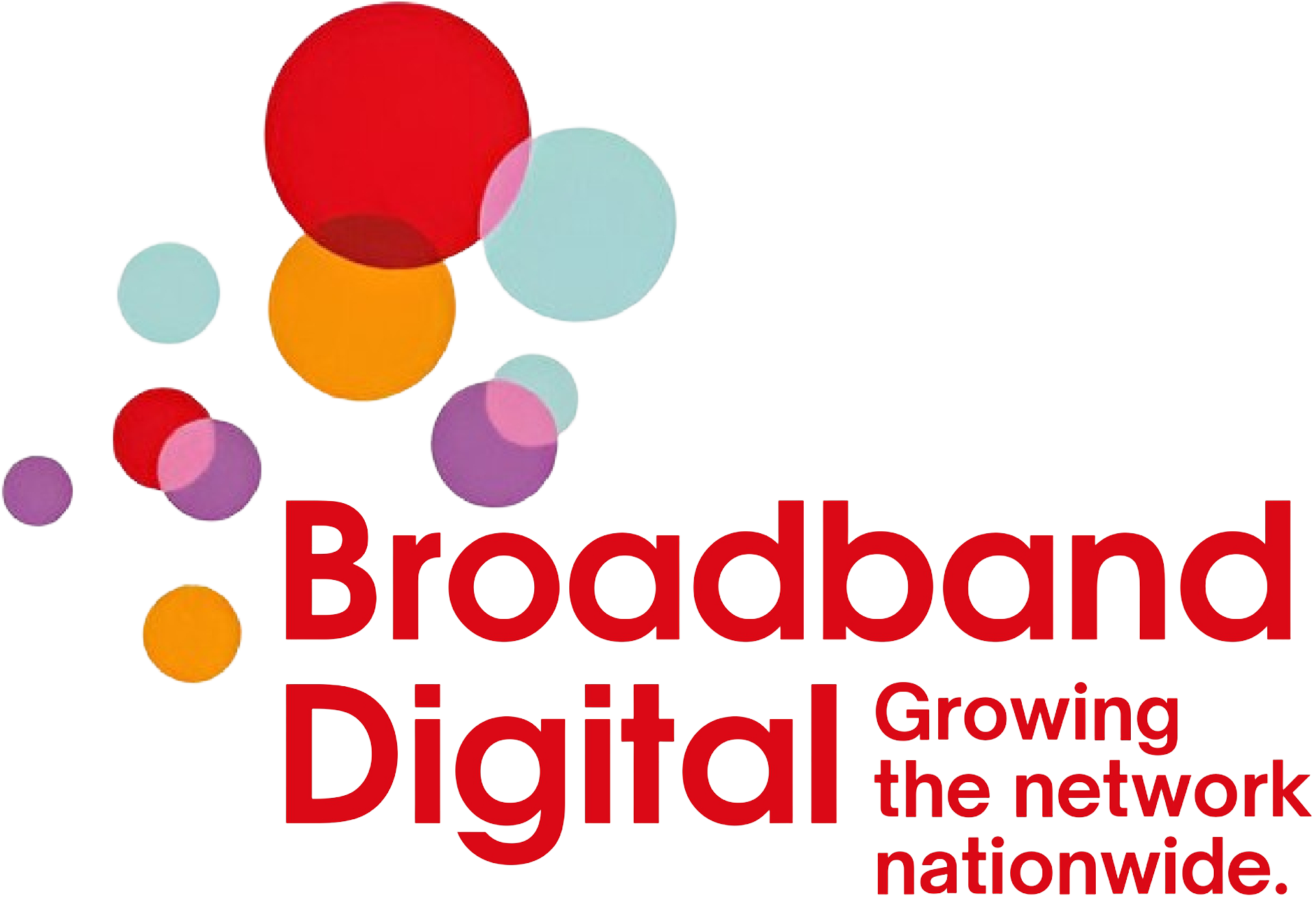 Broadband Digital Project Image