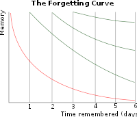 A typical representation of forgetting curves