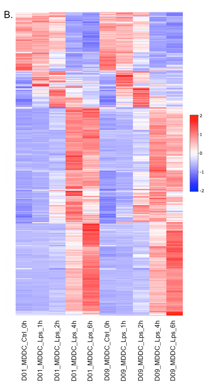 Figure 40. example heatmap after batch effect correction