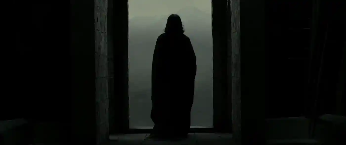 hp_severus_back