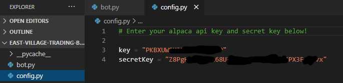 Config.py api key entry