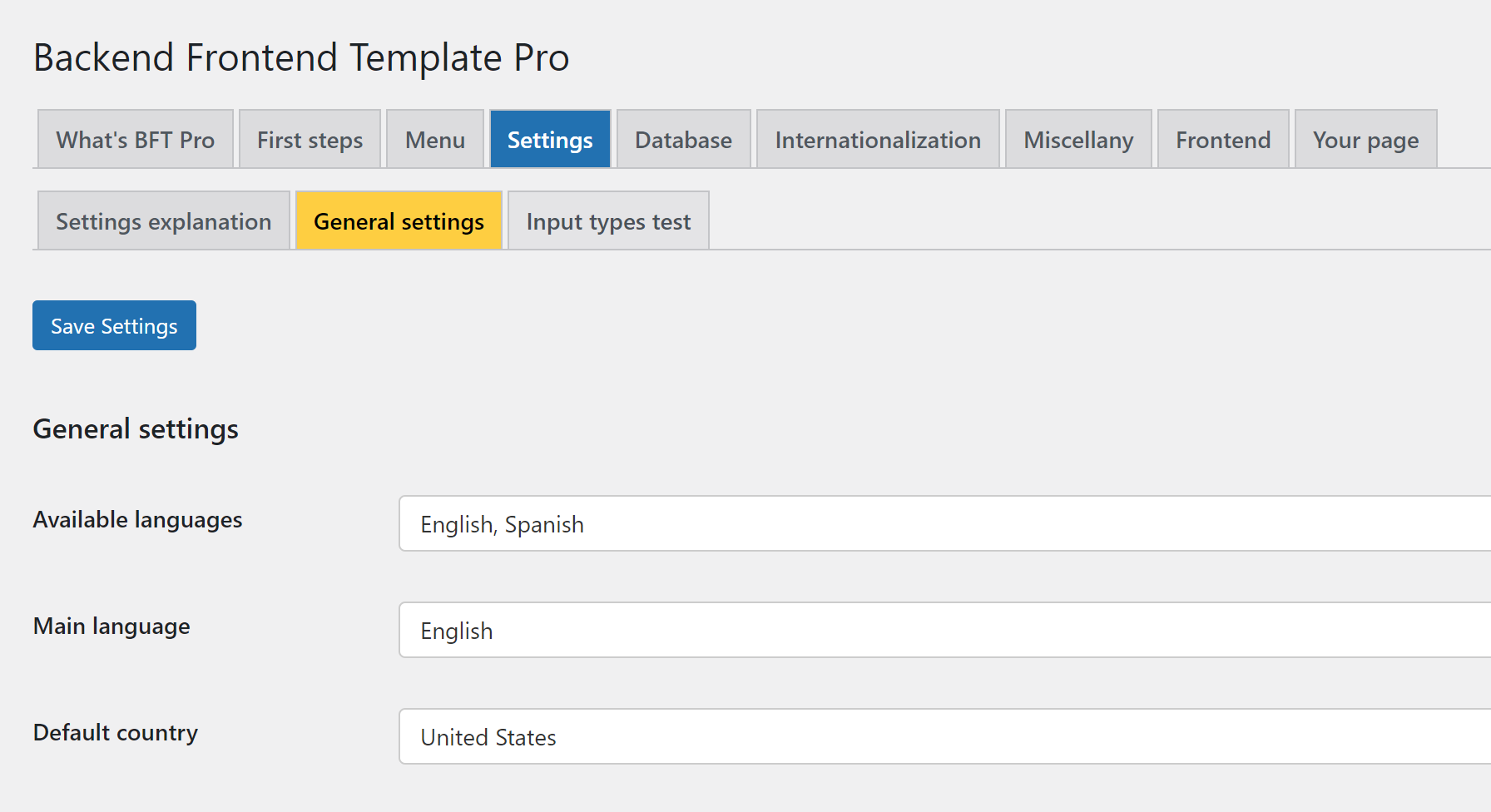 Backend Frontend Template Pro: example of the WordPress settings