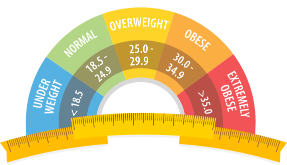 BMI Categories