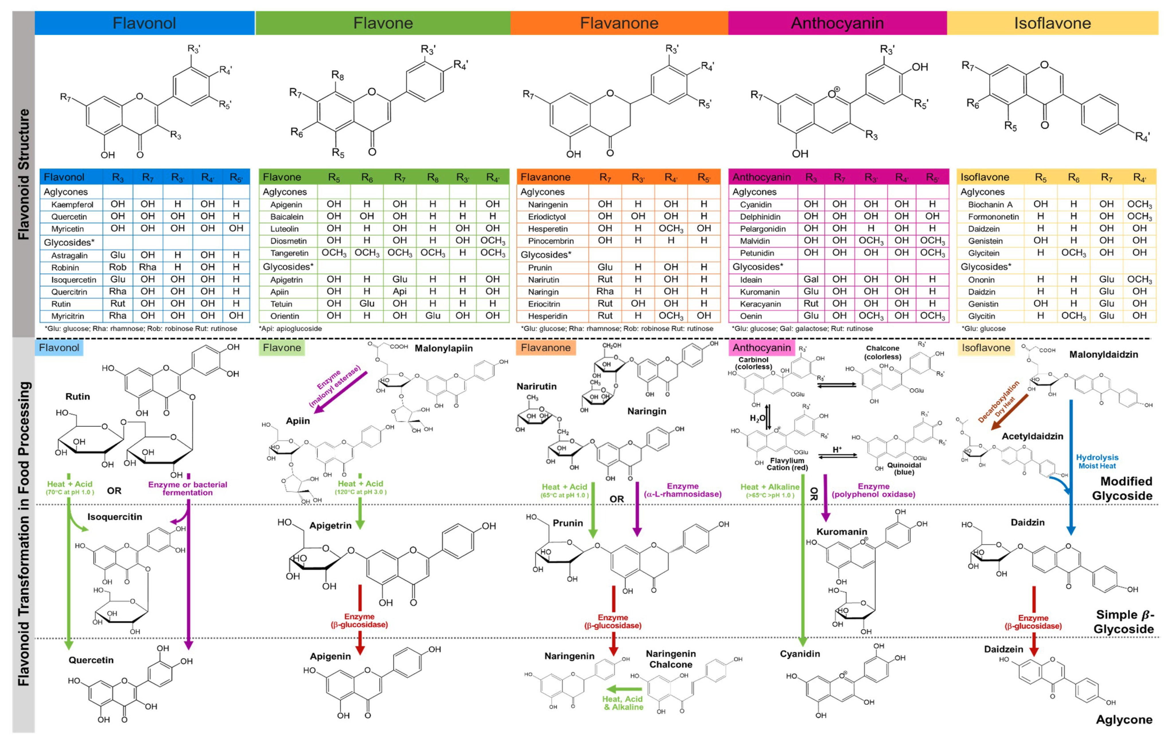 Dietary Flavonoids (Tweet #5)