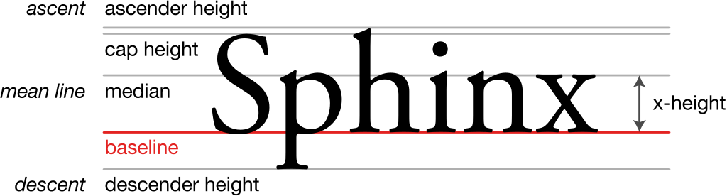 A diagram showing terms to do with letter height and positioning on the baseline. Alternative terms are italicised.