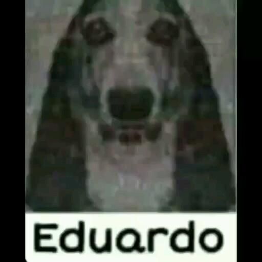 Eduardo