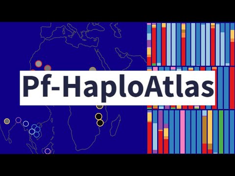 Pf-HaploAtlas Demo