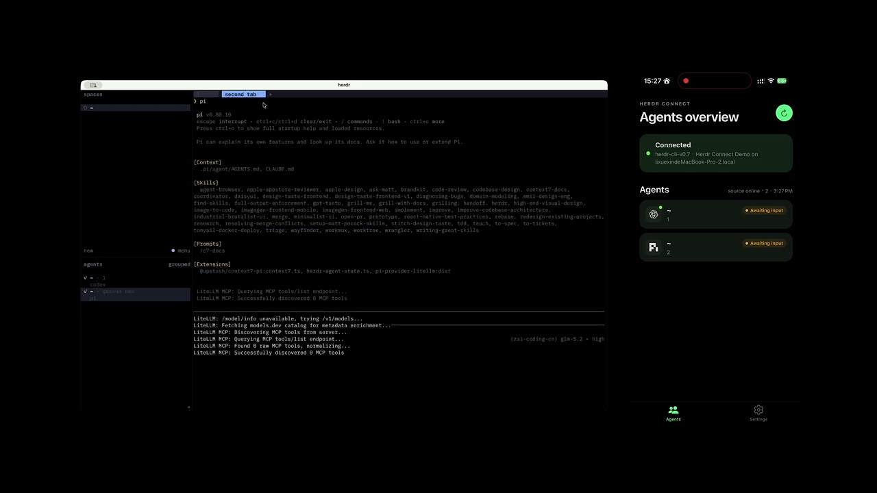 Herdr Connect — LAN Discovery Demo