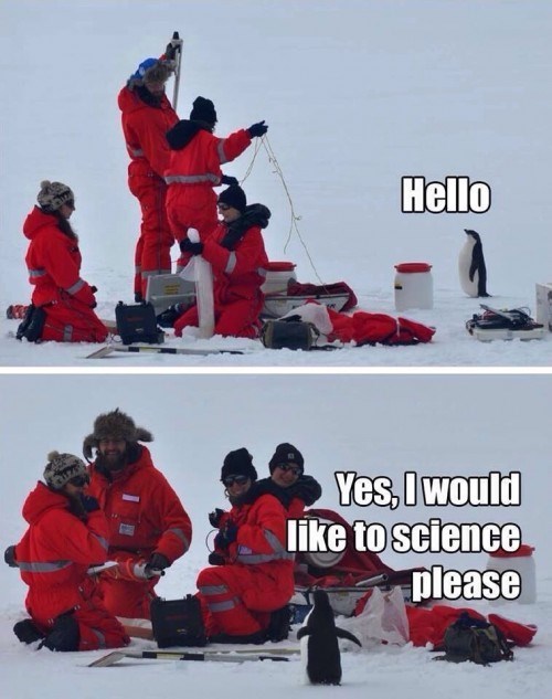 penguin-science