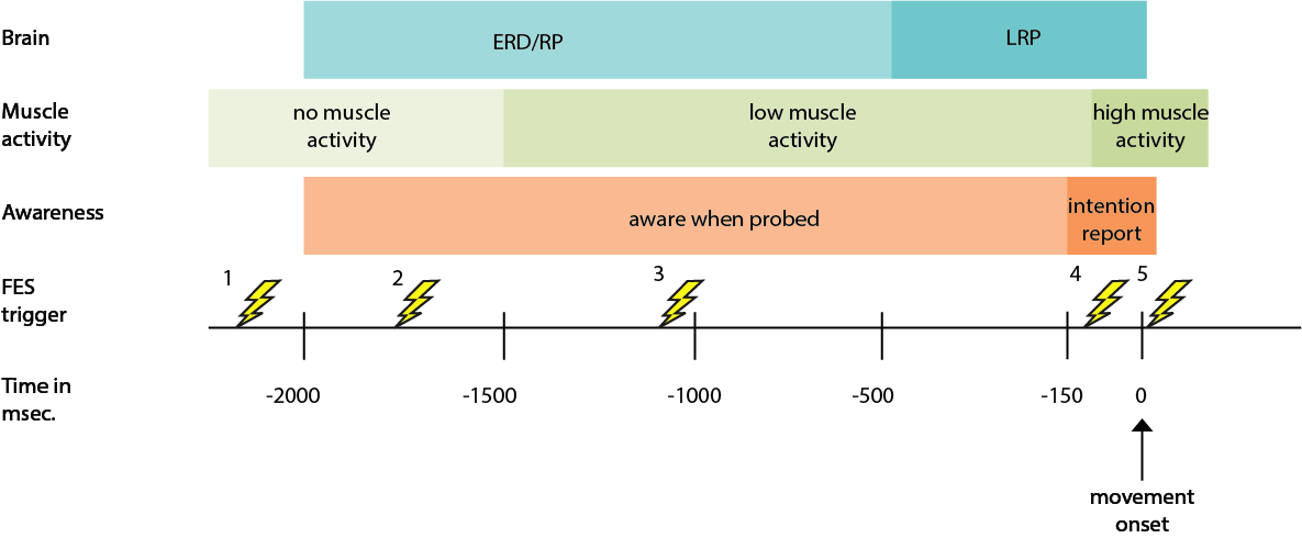 Figure 4. As output variables in this experiment we will have brain data, muscle activity, and the subjective reports. This figure shows the possible scenarios we envision. The FES triggers (1-5) show the moment a FES stimulation happens in time (msec.) relative to movement onset. The coloured horizontal bars show our 3 output variables and the ranges we envision them to appear relative to movement onset.