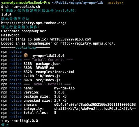 sh npm-publish.sh结果