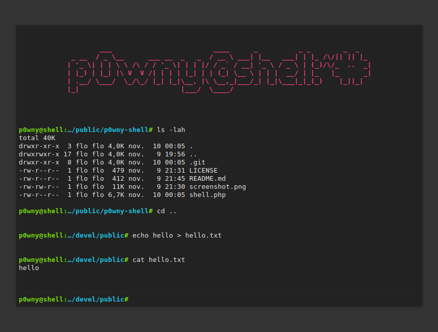 p0wny Shell – PHP Based Shell