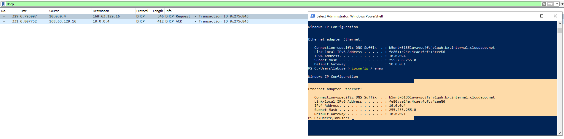 Disk Sanitization Steps