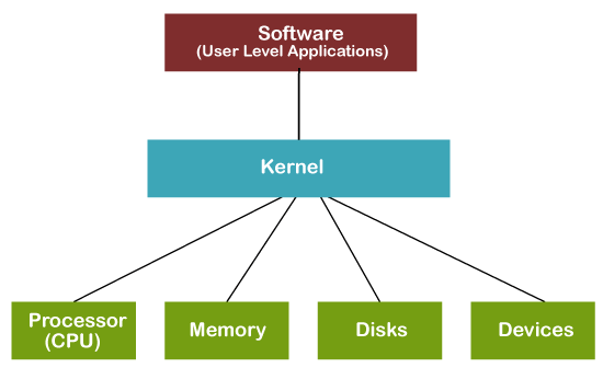 kernel