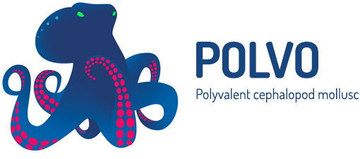 Polvo - Polyvalent cephalopod mollusc