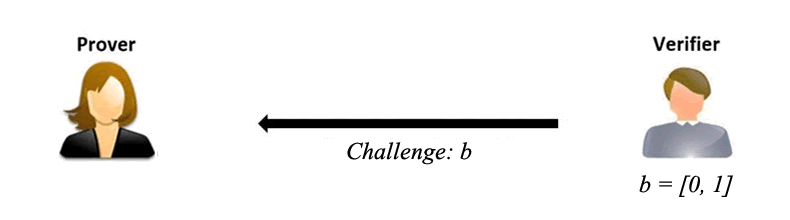 Challenge Phase