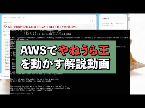 vast.aiでふかうら王を動かす手順を動画で解説