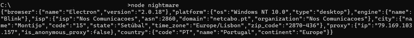 ip information output after executing nightmare script