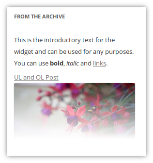 6. The introductory text for the widget.