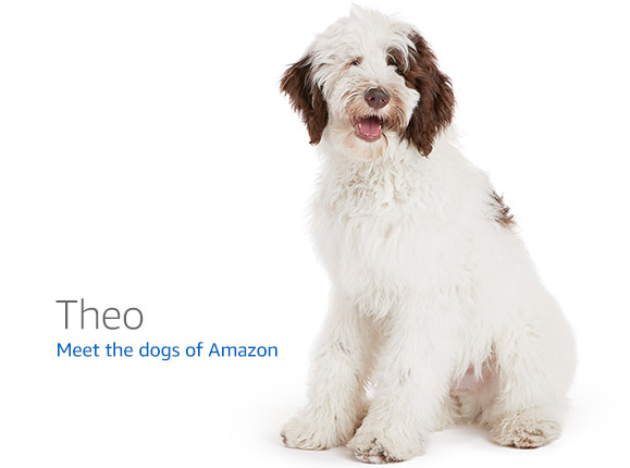 Amazon.com の 404 ページに表示される犬の一覧 · GitHub Amazon.com の 404 ページに表示される犬の一覧 · GitHub