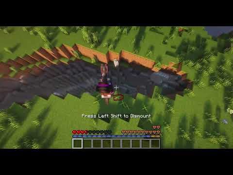 Animation showcase