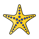 DBHub logo