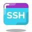 SSH