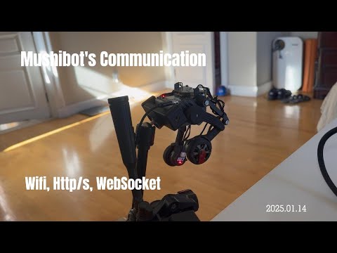 HTTPS communication from a robot to a website