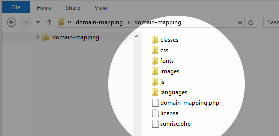 domain-mapping-3300-files