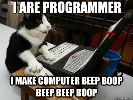 programmer-cat