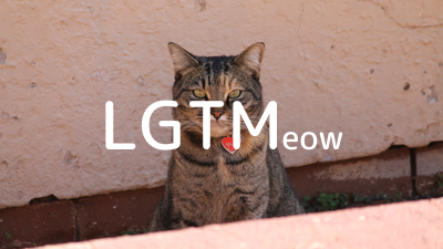 LGTMeow