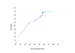 Analysis of nestedness and modularity