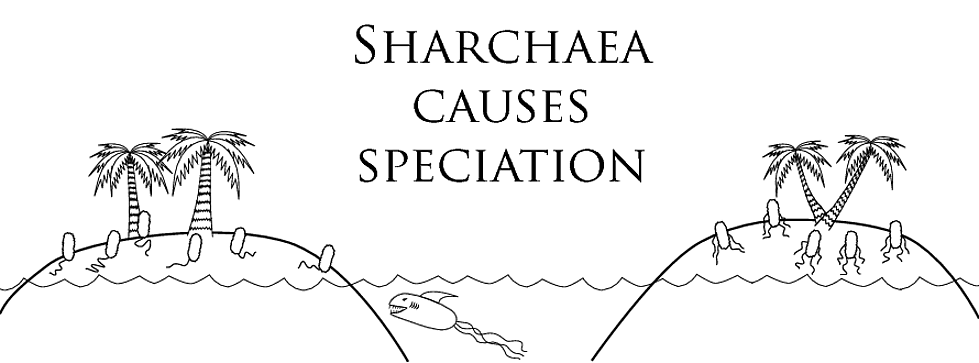 sharchaea_2012