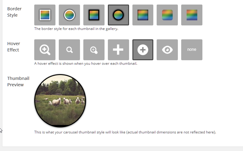 Choose from a plethora of styles and hover effects. See a preview live while you create your gallery.