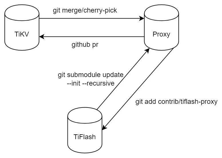 TiFlash Proxy.jpeg