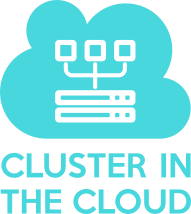 Cluster-in-the-Cloud