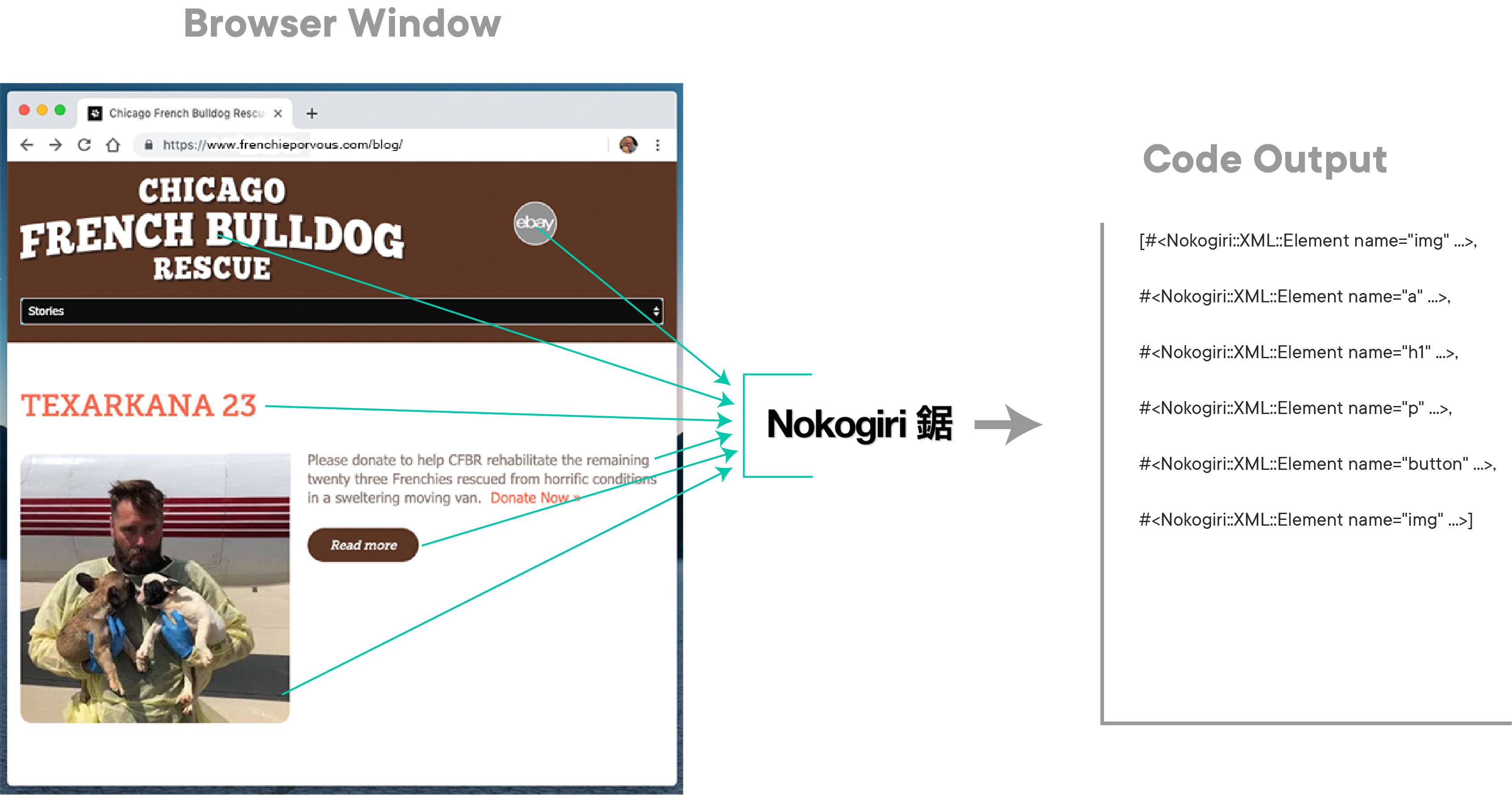 Nokogiri Scraping